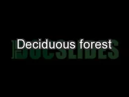 Deciduous forest