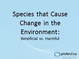 Species that Cause Change in the Environment: