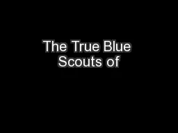 The True Blue Scouts of