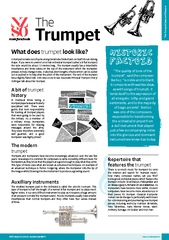 What does trumpet look like?A trumpet is made out of quite a long meta