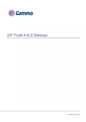 SIP Trunk A to Z Glossary