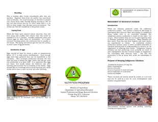 PDF-	\n\r\r thumbnail