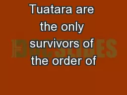 Tuatara are the only survivors of the order of