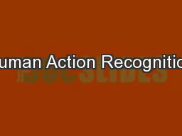 Human Action Recognition