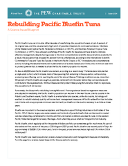 Pacic bluen tuna are in trouble. After decades of overshing, the po