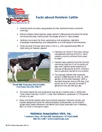Facts about Holstein Cattle x Holstein cattle are easily recognizable by their distinctive