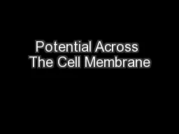 Potential Across The Cell Membrane
