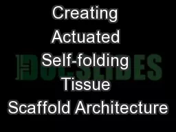 Creating Actuated Self-folding Tissue Scaffold Architecture