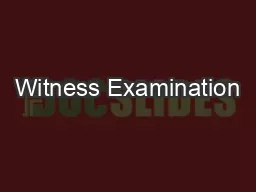 Witness Examination