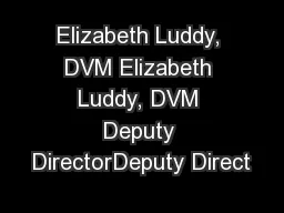 Elizabeth Luddy, DVM Elizabeth Luddy, DVM Deputy DirectorDeputy Direct