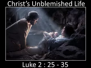 Christ’s Unblemished Life