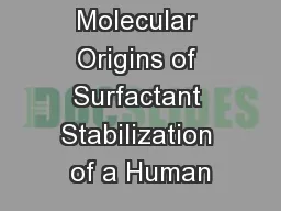 Molecular Origins of Surfactant Stabilization of a Human
