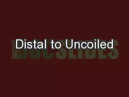 Distal to Uncoiled