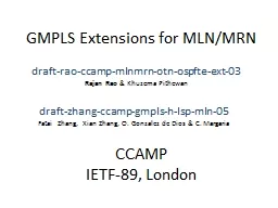 GMPLS Extensions