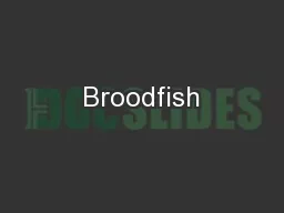 Broodfish