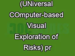 UN.CO.V.E.R. (UNiversal COmputer-based Visual Exploration of Risks) pr