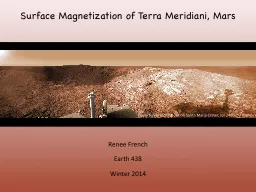Surface Magnetization of Terra