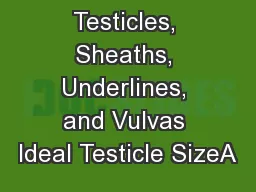 Swine Testicles, Sheaths, Underlines, and Vulvas Ideal Testicle SizeA