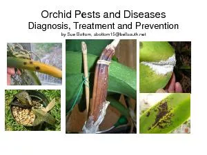 Orchid Pests and DiseasesDiagnosis, Treatment and Preventionby Sue Bot