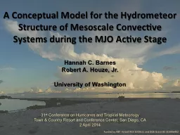 A Conceptual Model for the Hydrometeor Structure of Mesosca