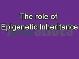 The role of Epigenetic Inheritance