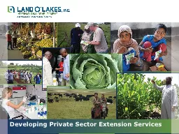 Developing Private Sector Extension Services