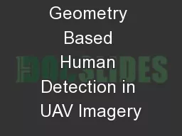 Geometry Based Human Detection in UAV Imagery