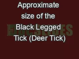 Approximate size of the Black Legged Tick (Deer Tick)