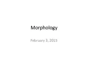 MorphologyFebruary 3, 2015