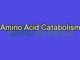 Amino Acid Catabolism