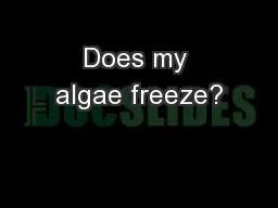 Does my algae freeze?