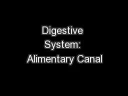 Digestive System: Alimentary Canal
