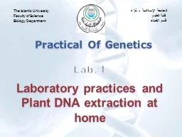 Practical Of Genetics