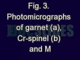 Fig. 3. Photomicrographs of garnet (a), Cr-spinel (b) and M