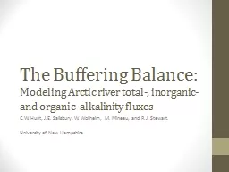The Buffering Balance: