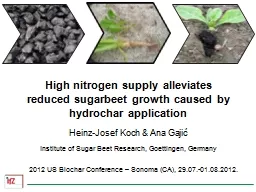 High nitrogen supply alleviates reduced sugarbeet growth ca