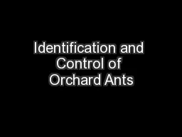 Identification and Control of Orchard Ants