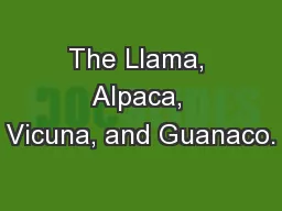 The Llama, Alpaca, Vicuna, and Guanaco.