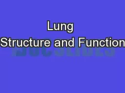 Lung Structure and Function
