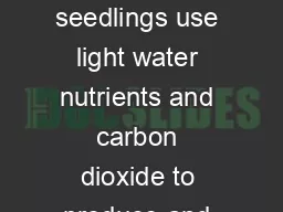 During photosynthesis seedlings use light water nutrients and carbon dioxide to produce
