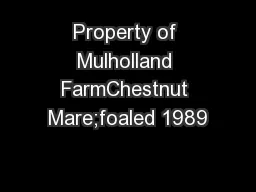 Property of Mulholland FarmChestnut Mare;foaled 1989