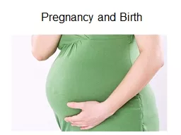 Pregnancy and Birth
