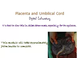 Placenta and Umbilical Cord