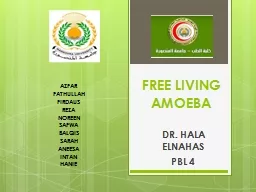 FREE LIVING AMOEBA