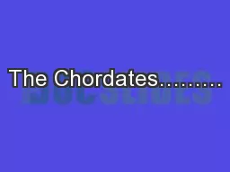 The Chordates………