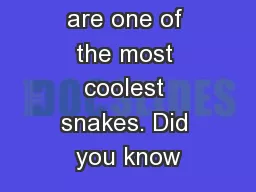 Anacondas are one of the most coolest snakes. Did you know