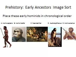 Prehistory: Early Ancestors Image Sort