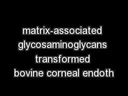 matrix-associated glycosaminoglycans transformed bovine corneal endoth