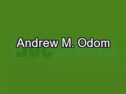 Andrew M. Odom