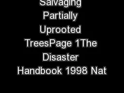Salvaging Partially Uprooted TreesPage 1The Disaster Handbook 1998 Nat